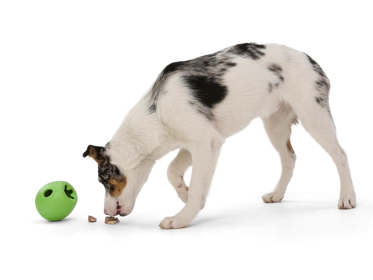Rumbl Dog Treat Toy