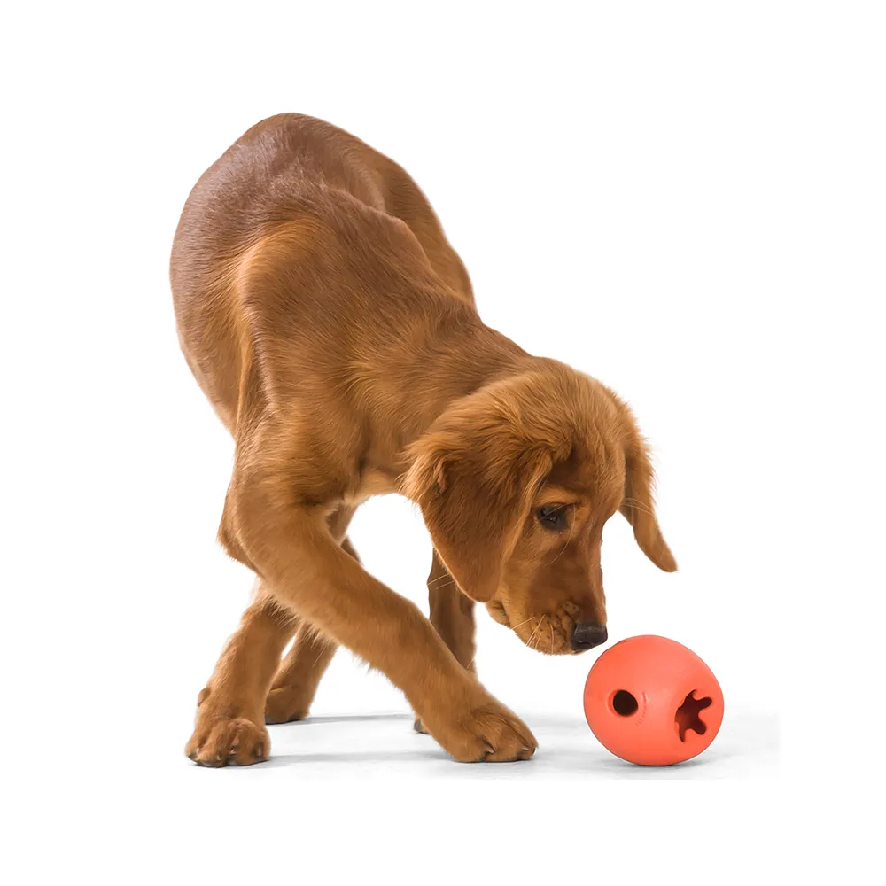 Rumbl Dog Treat Toy