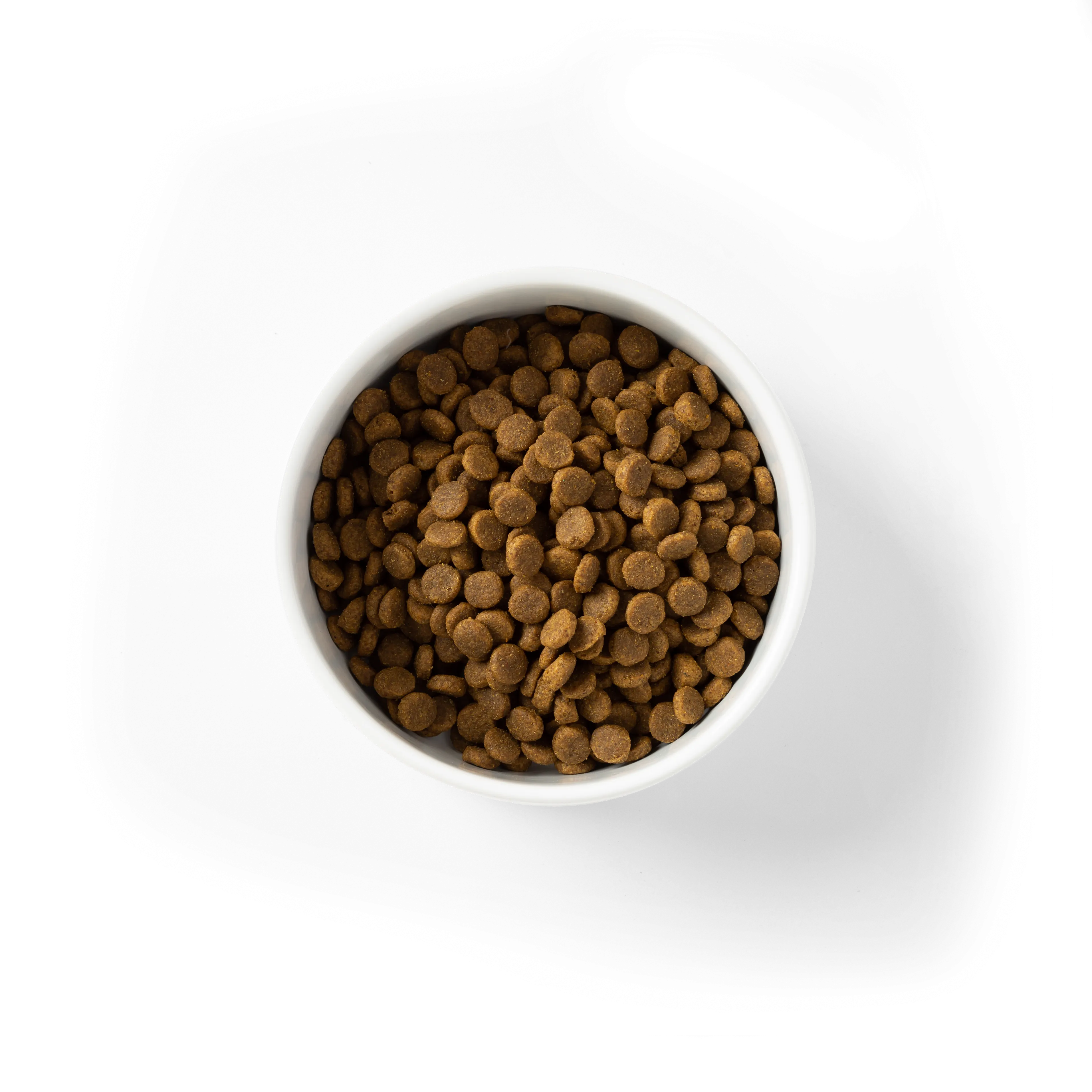 SavourLife - Grain Free Chicken Puppy Dry Food (2.5kg)