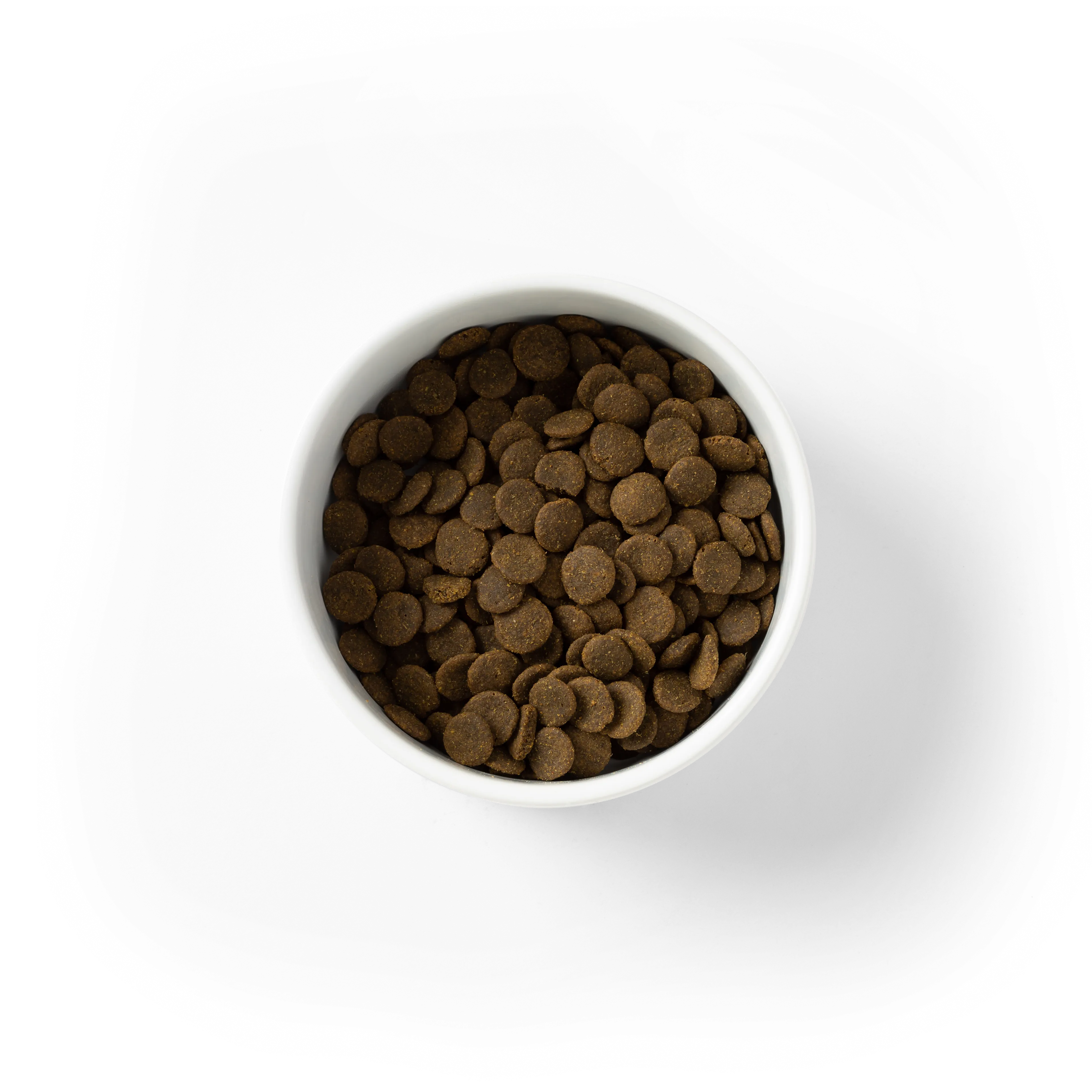 SavourLife - Grain Free Kangaroo & Chicken Dog Dry Food (10kg)