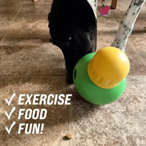 Treat Dispensing Bob-A-Lot Dog Toy
