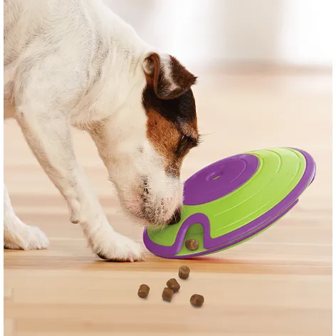 treat maze puzzle toy