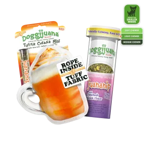 Tuffer Chewer Mini Refillable Pumpkin Spiced Latte Toy Bundle