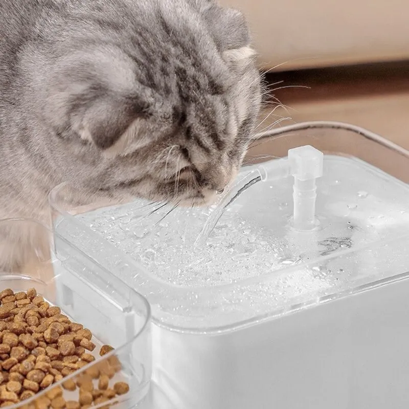 Water Fountain With Food Bowl