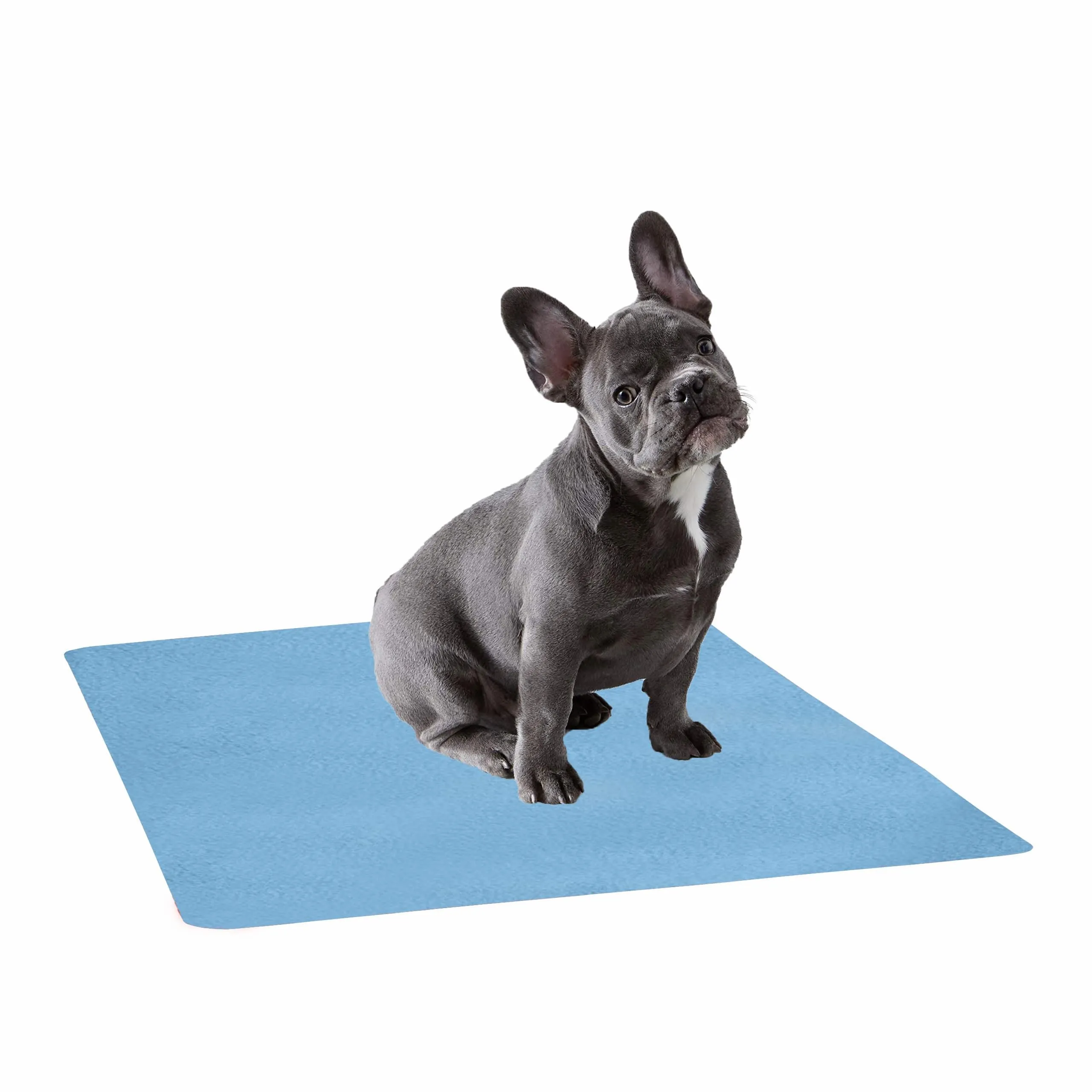 Waterproof Pet Training Puppy Pad (Medium)