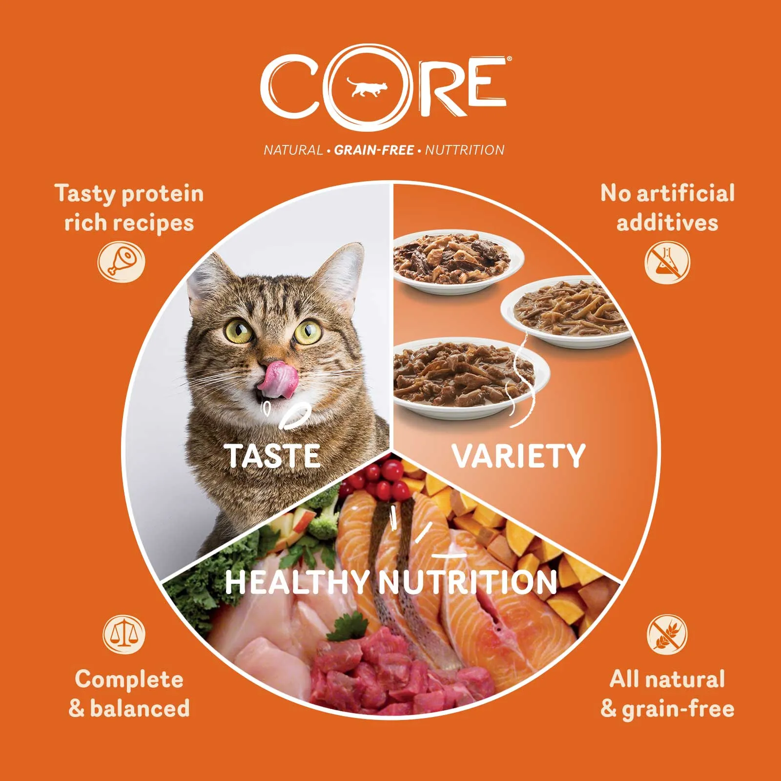 Wellness CORE Cat Wet Adult Tender Cuts Tuna Selection Multipack 6 x 85g