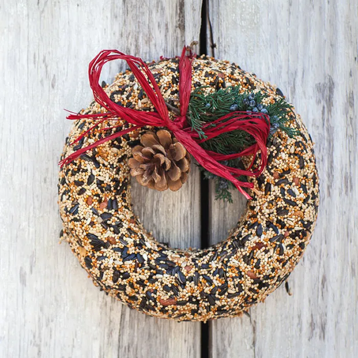 WildFeast Bird Seed Wreath
