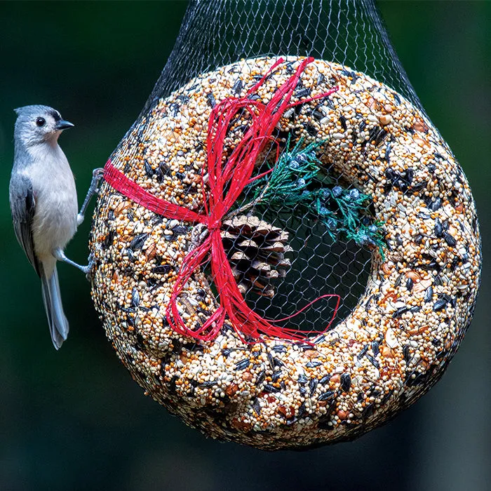 WildFeast Bird Seed Wreath