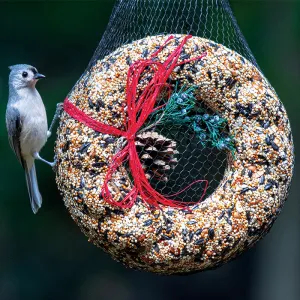 WildFeast Bird Seed Wreath