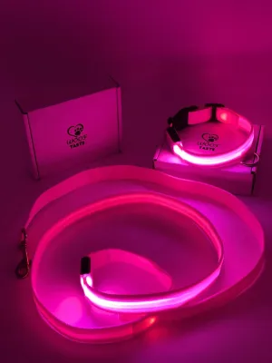 WoofTaste Light Up Dog Collar and Leash for Night, Glow in The Dark 2 Pieces Set, USB Rechargeable, Waterproof - Medium, Pink