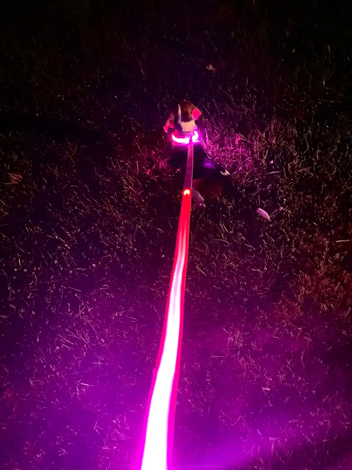 WoofTaste Light Up Dog Collar and Leash for Night, Glow in The Dark 2 Pieces Set, USB Rechargeable, Waterproof - Medium, Pink