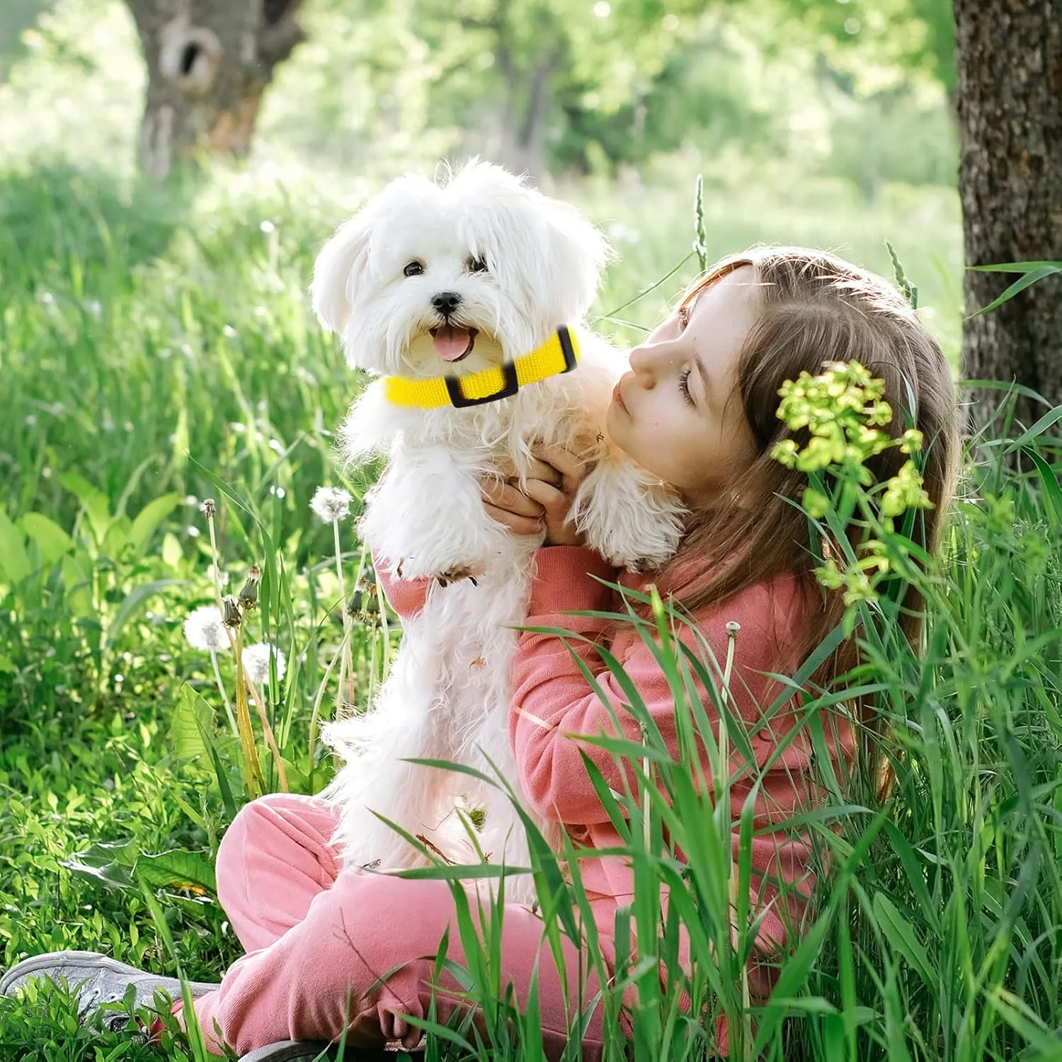 Yellow Dog Collar and Leash Set for Large Dog, Breathable, Anti-Odor & Soft, Comfortable for Sensitive Skin Puppies, 90% Bamboo Rayon, Adjustable Quick-Release Buckle Pet Collar for Large Breeds